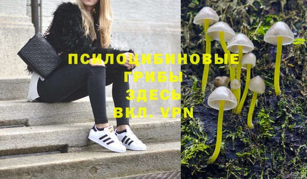 СК Кинешма